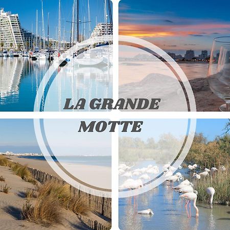 Le Dream Beach-Terrasse-Vue Mer D'Exception-Wifi-Parking - Top Pros Servicesconciergerie Palavas-les-Flots Esterno foto